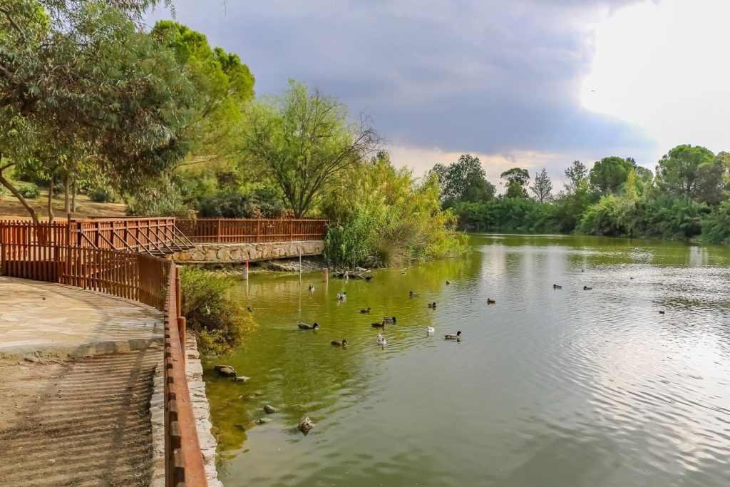 Athalassa National Forest Park - National Forest Parks in Nicosia District, Cyprus