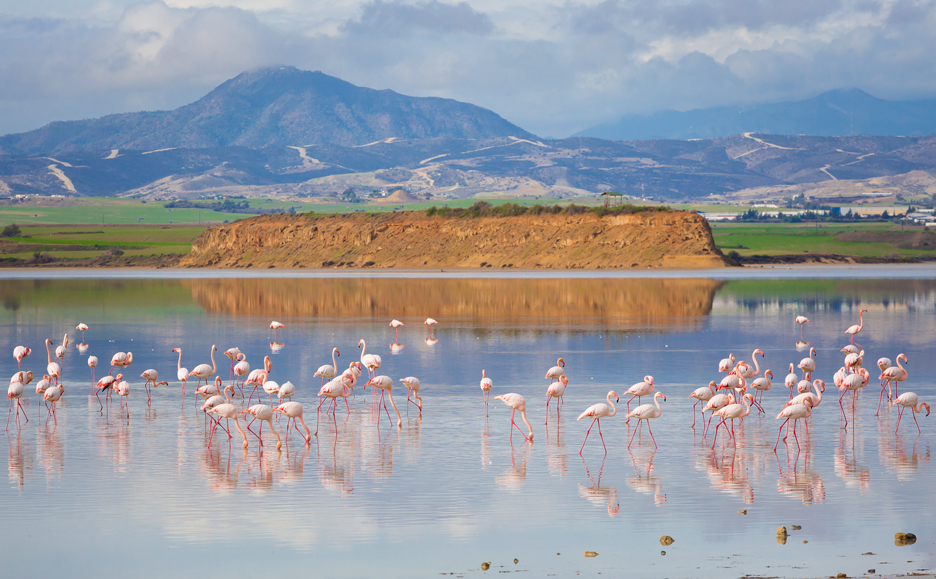 Salt Lake View Point - Nature Outdoors in Larnaca District, Cyprus