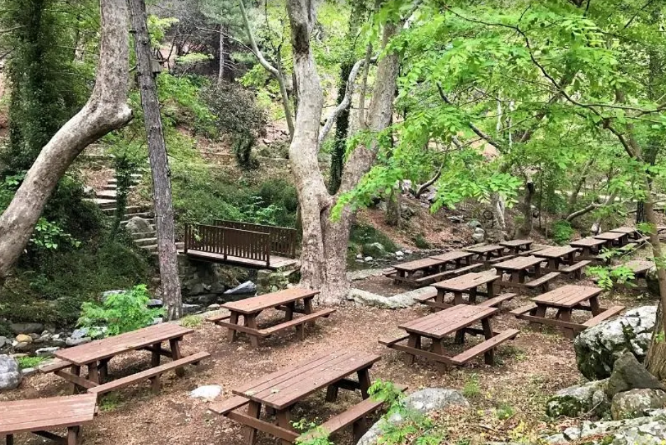 Trooditissa Picnic Site - Nature Outdoors in Limassol District, Cyprus