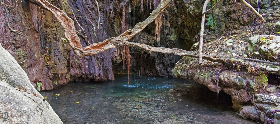 Baths of Aphrodite - Nature Outdoors in Paphos District, Cyprus