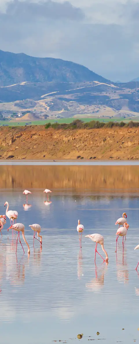 Salt Lake View Point - Nature Outdoors in Larnaca District, Cyprus