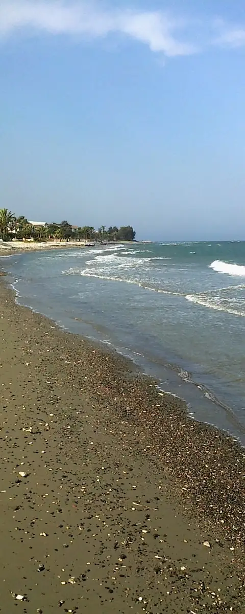 Meneou Beach - Beaches in Larnaca District, Cyprus