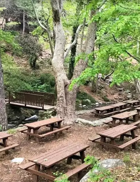 Trooditissa Picnic Site - Nature Outdoors in Limassol District, Cyprus