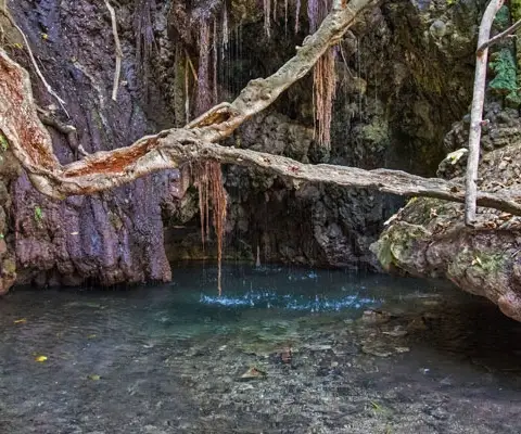 Baths of Aphrodite - Nature Outdoors in Paphos District, Cyprus